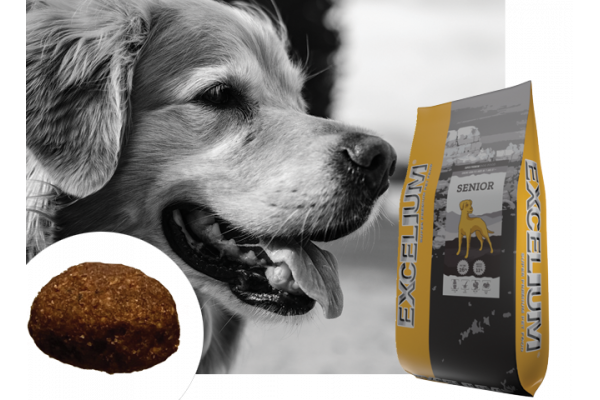 Canaldog : EXCELIUM Senior - 15Kg