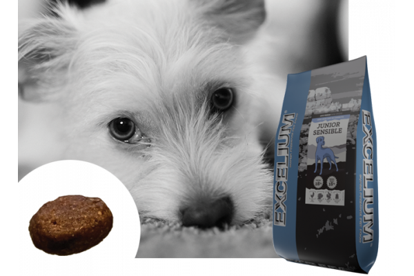 Canaldog : EXCELIUM Junior Sensible - 3Kg