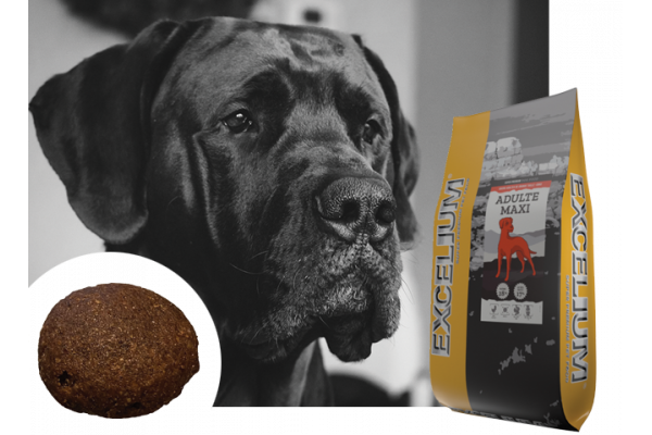 Canaldog : EXCELIUM Adulte Maxi - 15Kg
