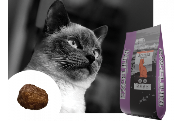 Canaldog : EXCELIUM Chat Adulte Saumon - 3Kg