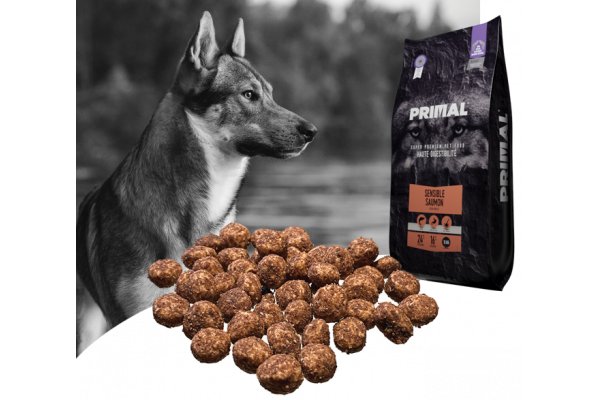 Canaldog : PRIMAL Sensible Saumon - 15Kg