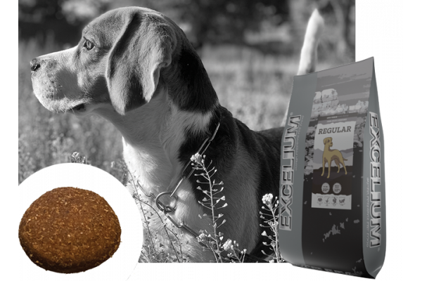 Canaldog : EXCELIUM regular - 28Kg