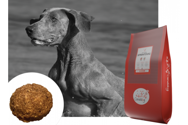 Canaldog : CANALDOG Sprintdog - 28Kg