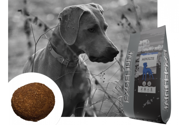 Canaldog : EXCELIUM Adulte - 28Kg