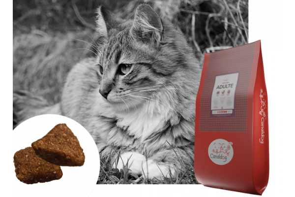 Canaldog : CANALDOG Adulte Chat - 28Kg