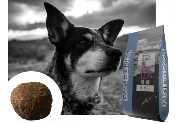 Canaldog : EXCELIUM Porc & Riz - 3Kg (pack 6 x 3kg) DLUO depassée