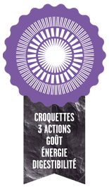 croquette-3-actions.png